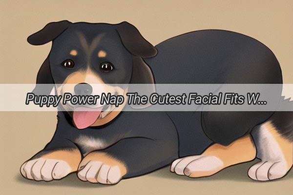 Puppy Power Nap The Cutest Facial Fits When Pups Doze Off